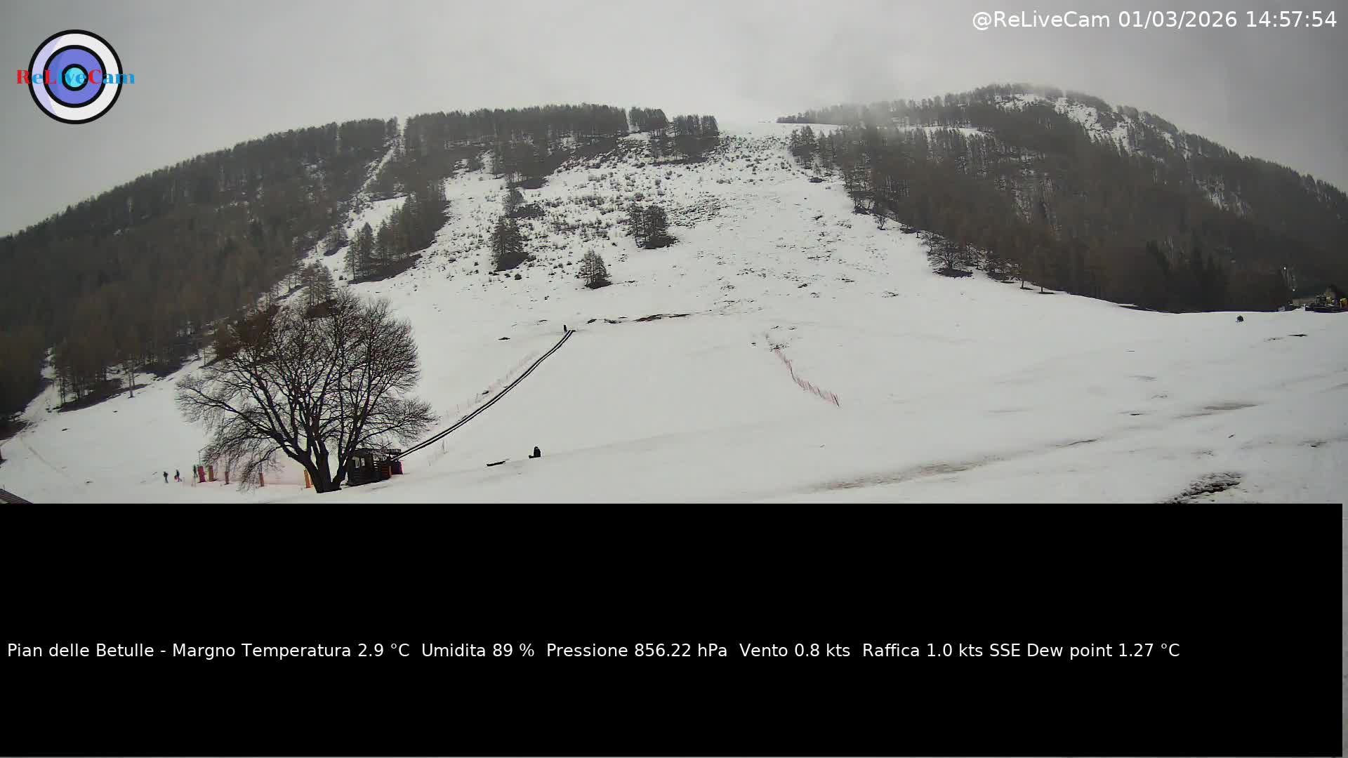 Timelapse del 01/03/2026