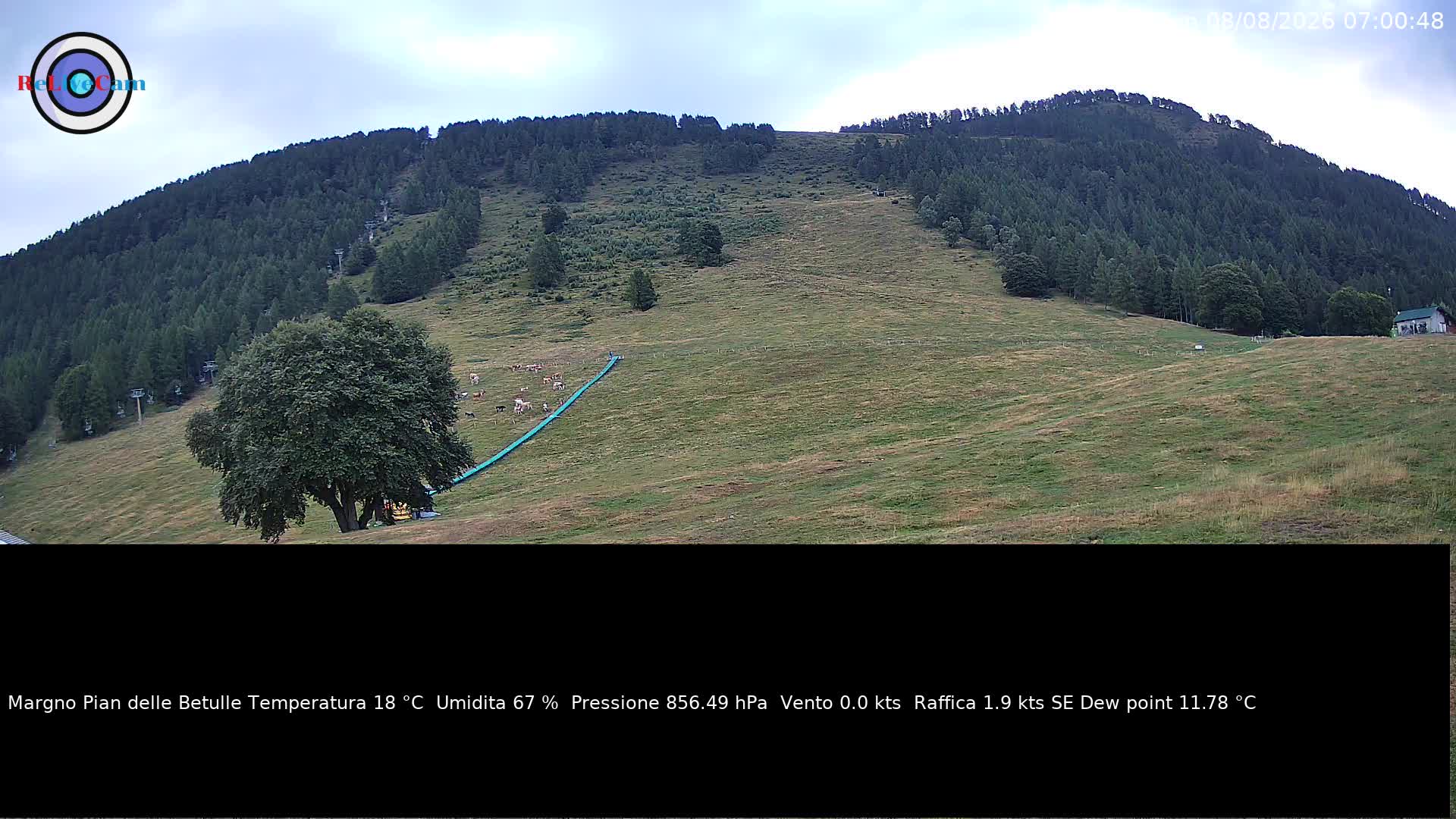 Timelapse del 08/08/2026