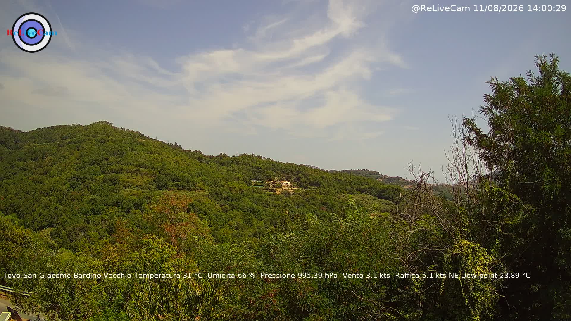 Timelapse del 11/08/2026